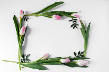 Frame of pink tulips and twigs
