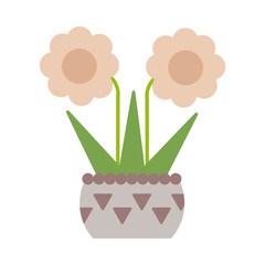 cute flower with potted on white background