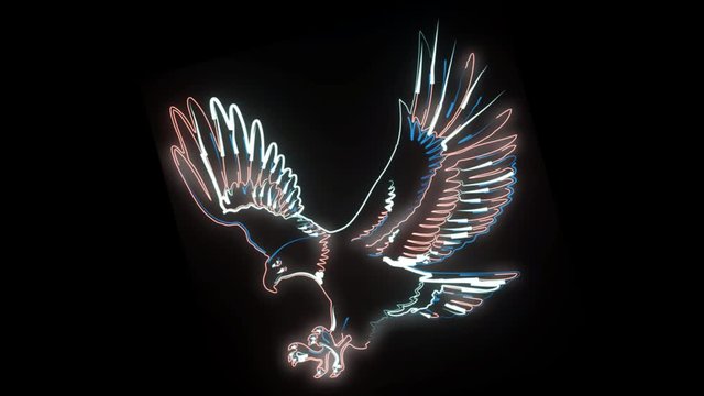 Eagle neon animation on alfa channel, 2d. Red, white and blue lights forming bird with stretched wings. Concept of freedom, liberty, independence, American dream.