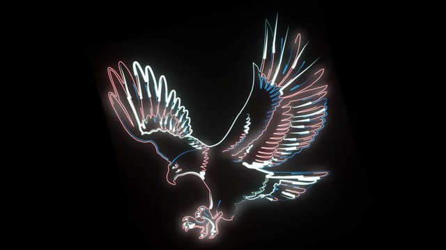 Neon animation of eagle with stretched wings. 2d animation of wild bird on black background. Independence, freedom, pride, wildlife.