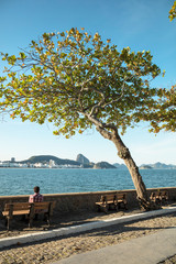 Trees and sunny day on vacation trip to the end of Copacabana beach in Guanabara Bay and in the background the Pao de Acucar mountain, in Rio de Janeiro Brazil