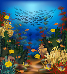 Fototapeta na wymiar Underwater beautiful landscape wallpaper with tropical fish, vector illustration