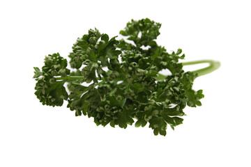 A studio photograph of a bunch of parsley