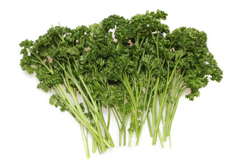 A studio photograph of a bunch of garden parsley