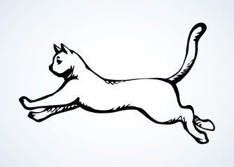 Jumping cat. Vector drawing icon