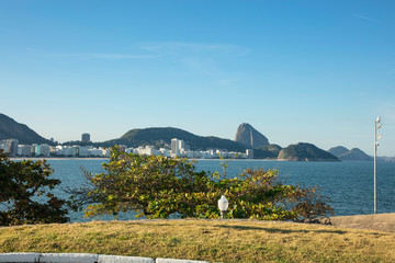 Trees and sunny day on vacation trip to the end of Copacabana beach in Guanabara Bay and in the...
