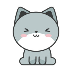 cute cat on white background, feline domestic