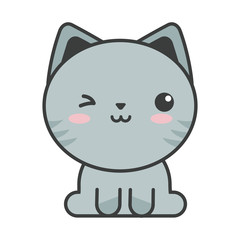 cute cat on white background, feline domestic