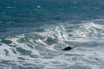 Fototapeta premium closeup emerald sea coast with waves