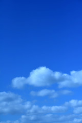 雲
