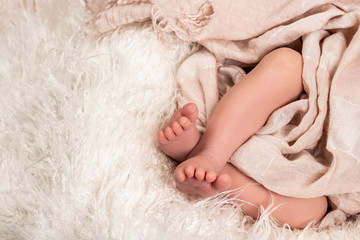 Closeup of newborn baby feet. place under the text. concept of happiness