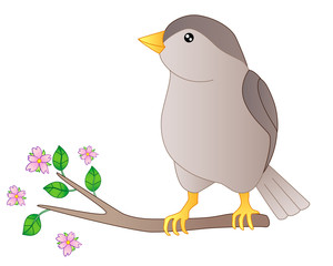 Little beautiful bird - vector full color picture. Sparrow is sitting on a flowering branch. Spring branch with leaves and pink flowers on which the bird sits.