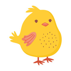 cute little chicken bird animal farm icon