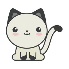 cute cat on white background, feline domestic