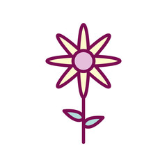 Isolated flower line and fill style icon vector design