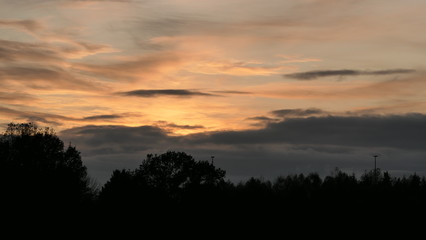 Fototapeta na wymiar sunset sky with trees