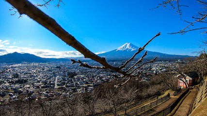 A few tree branches with flower buds on disturbing a clear, distant view on Mt Fuji in Japan on a clear, wintery day. The top parts of the volcano are covered with a layer of snow. Holly mountain