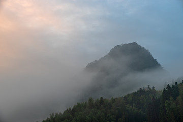 Fototapeta na wymiar There is fog in the tea mountain in the morning