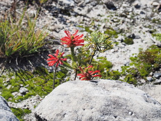 Kapstadt – Tafelberg