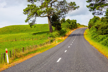 Road among the green fields