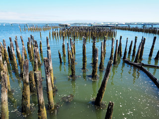 Remnants of an old dock