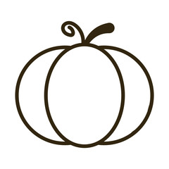pumpkin on white background, line style icon