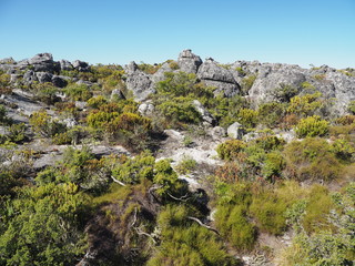 Kapstadt – Tafelberg