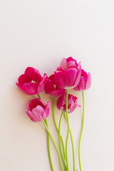Bouquet of pink tulips on a light vertical background.