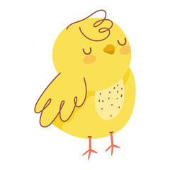 cute little chicken bird farm animal icon