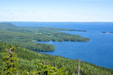 Koli National Park and Lake Pielinen, view from Ukko-Koli Hill, North Karelia, Finland