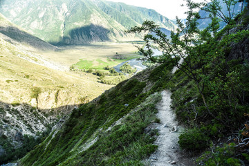 Beautiful views and landscape of Altai nature.