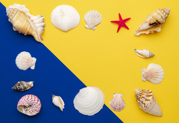 Sea Shells, starfish in shape frame. blue, yellow Hello summer background concept. Top view with...