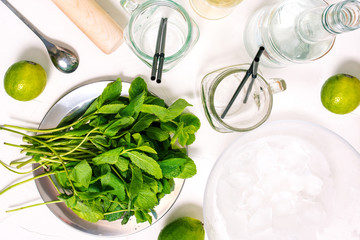 Mojito Cocktail. The process of preparing a refreshing summer drink with mint, lime, syrup and rum....