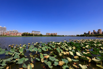 waterfront city architectural scenery, China