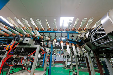 Production line of medical protective gloves, China