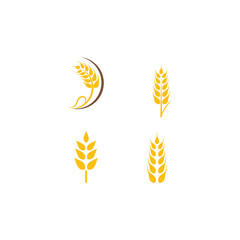 Set Wheat Logo Template vector