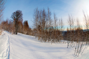 clearing in the winter mountains on a sunny day for outdoor activities and walks
