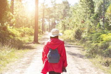 Back view on tourist backpack,Travel alone among trees in forest on outdoors