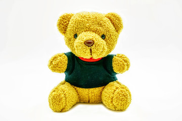 Teddy bear isolated on a white background.