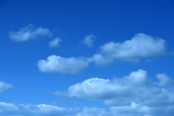 雲