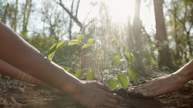 Happy of Asian daughter helping her mother to plant the tree and water the plant in the forest save world concept. Close-up of young women hand