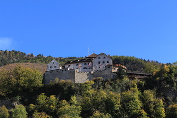 Fototapeta na wymiar Vaduz Castle (Schloss Vaduz) in the capital city Vaduz in Liechtenstein. It was built in 12th century. It is the palace and official residence of the Prince of Liechtenstein.