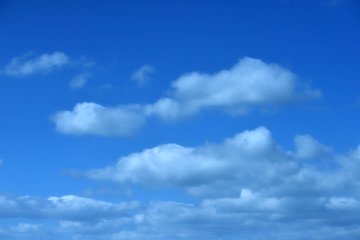 雲
