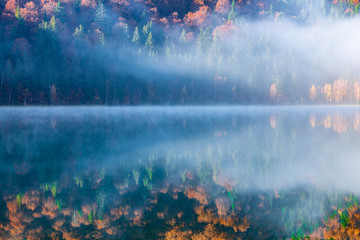 Beautiful autumn landscape with golden and copper colored trees in the mist, Sfanta Ana Lake, Harghita, Romania