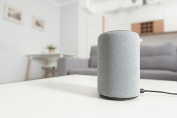 Smart speaker device in living room. Smart home.