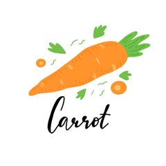 Carrot vector illustration isolated. Concept of healthy food, vegetable. Carrot have abstract, simple cartoon, hand drawn style.