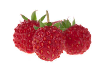 heap of wild strawberry isolated on white