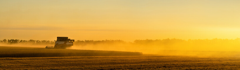 Combine harvester on the field at sunset.