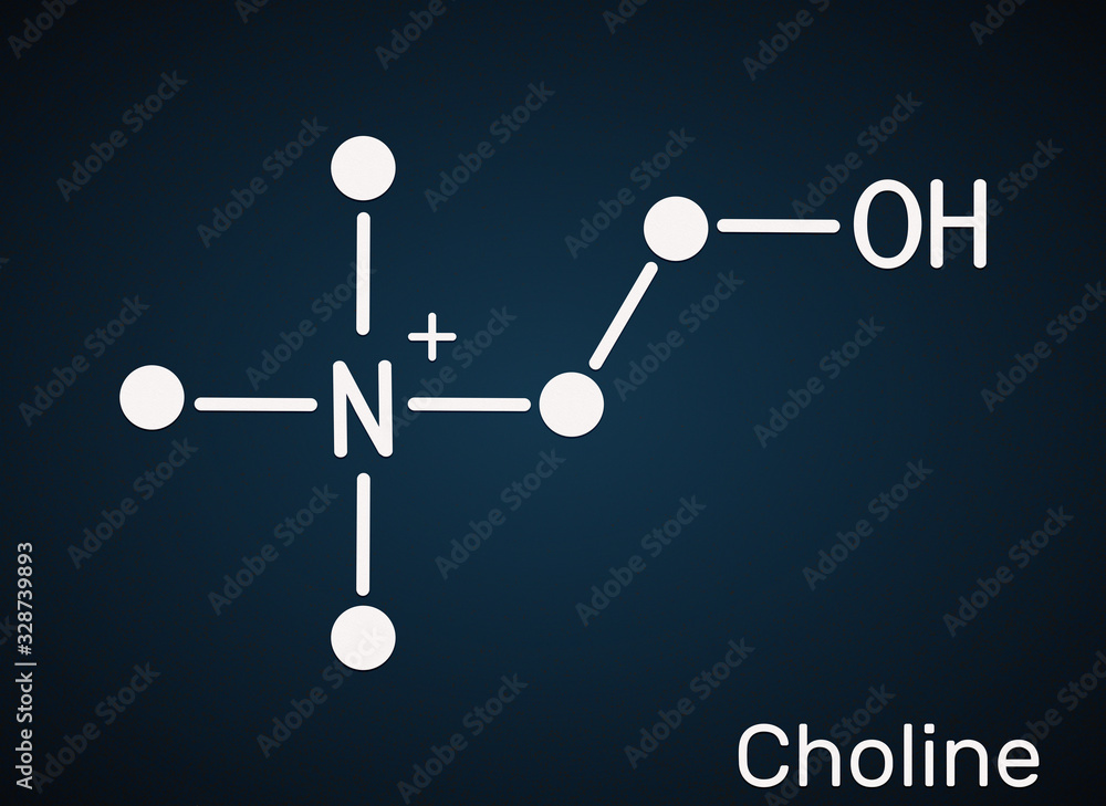 Poster Choline,  C5H14NO+ , vitamin-like essential nutrien molecule. It is a constituent of lecithin. Skeletal chemical formula