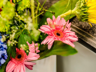 Beautiful and bright flowers.